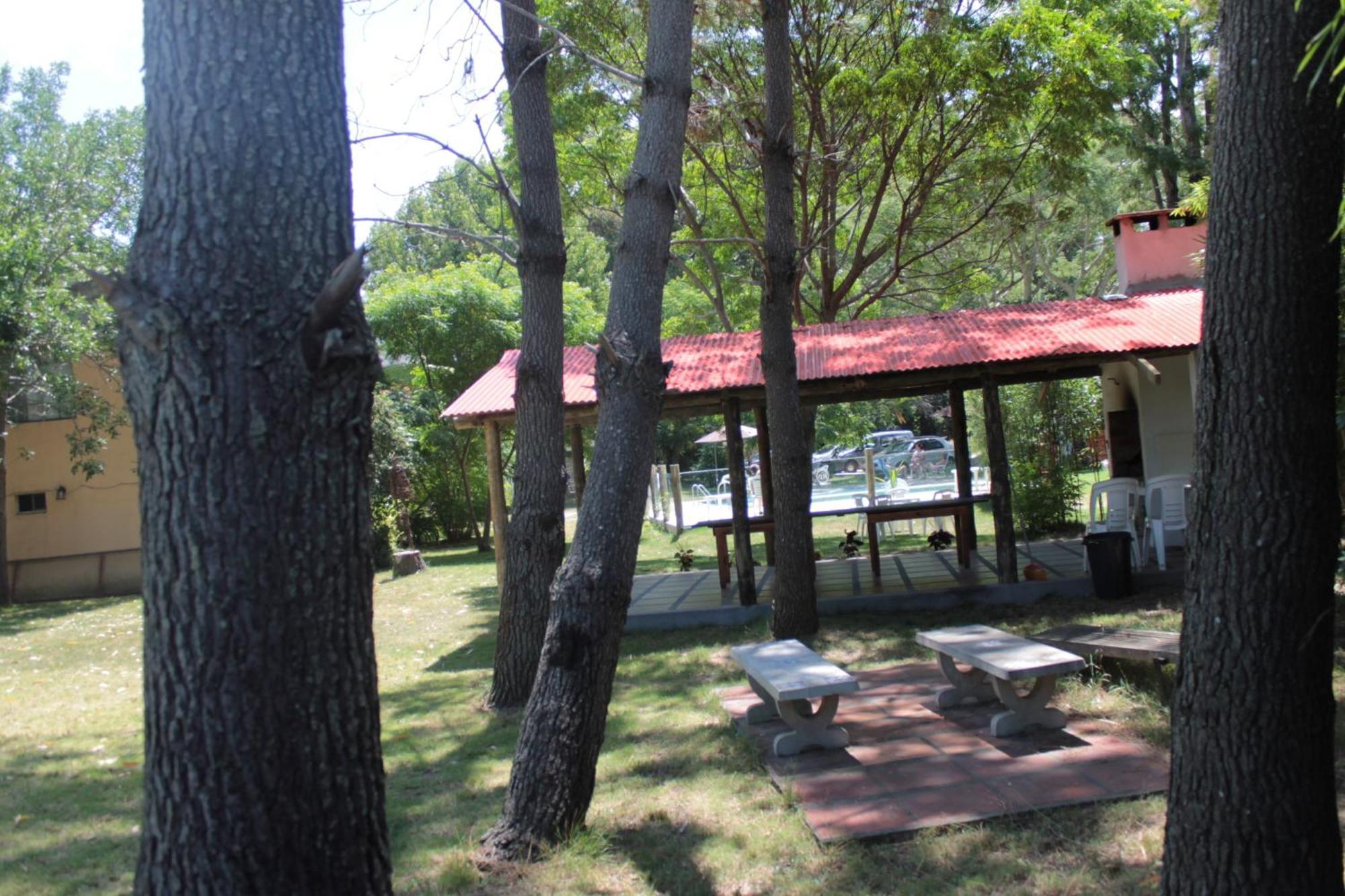 Hotel La Ballena ปุนตาบาเญนา ภายนอก รูปภาพ